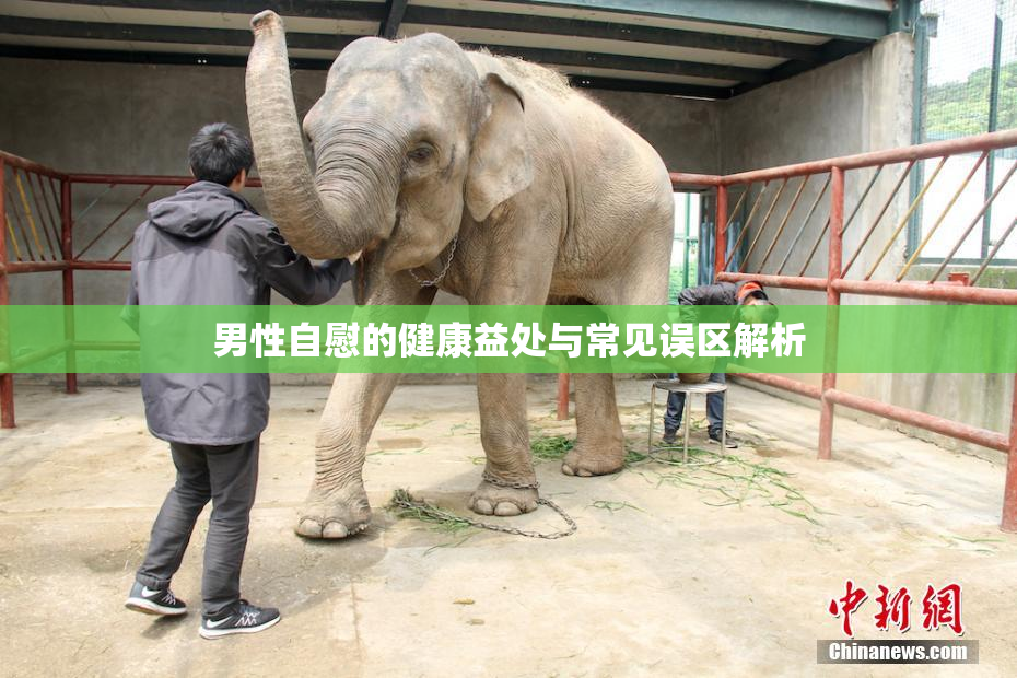 男性自慰的健康益处与常见误区解析