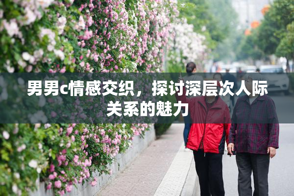 男男c情感交织，探讨深层次人际关系的魅力