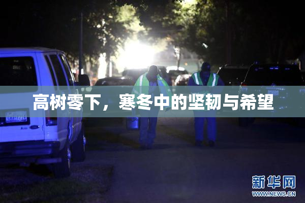 高树零下，寒冬中的坚韧与希望