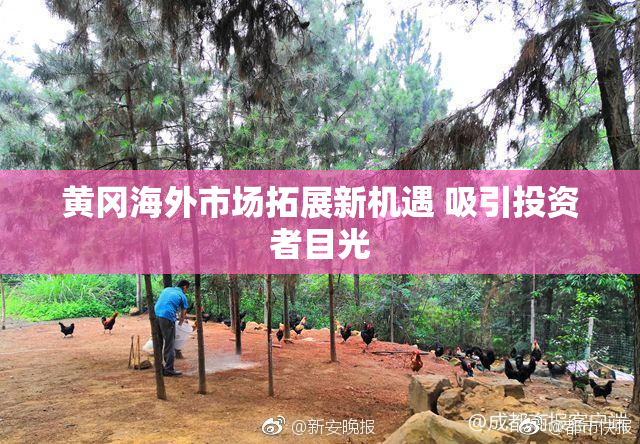 黄冈海外市场拓展新机遇 吸引投资者目光