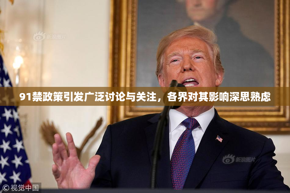 91禁政策引发广泛讨论与关注，各界对其影响深思熟虑