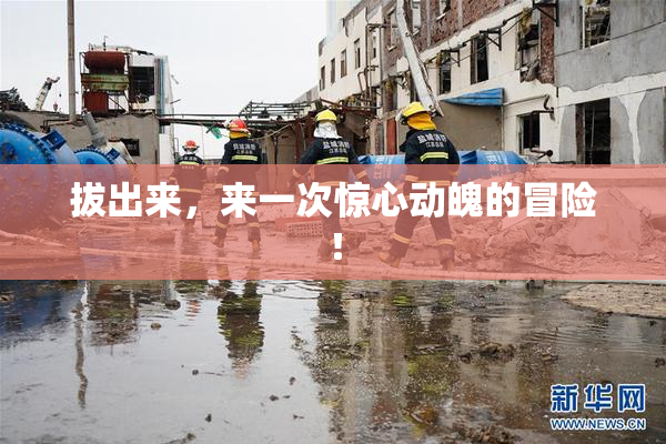 拔出来，来一次惊心动魄的冒险！