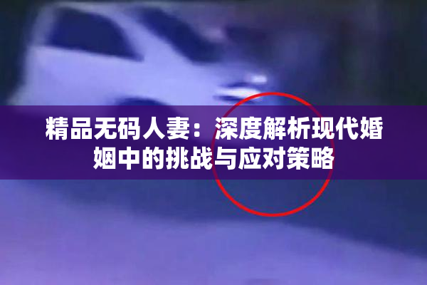 精品无码人妻：深度解析现代婚姻中的挑战与应对策略