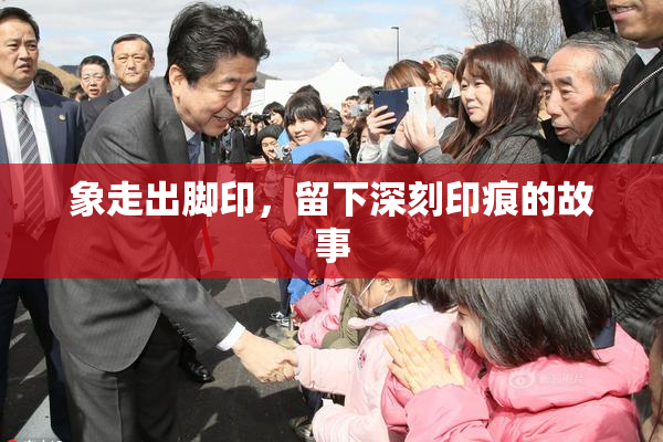 象走出脚印，留下深刻印痕的故事