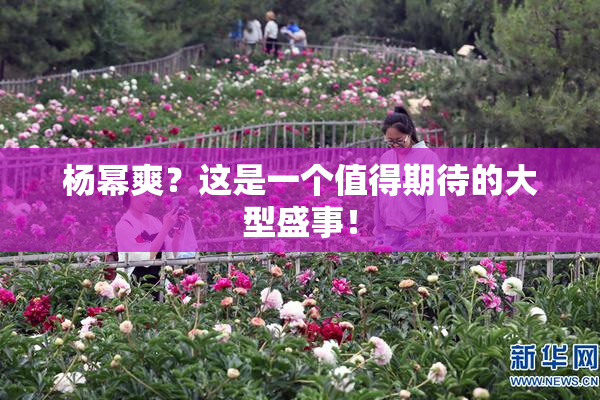 杨幂爽？这是一个值得期待的大型盛事！