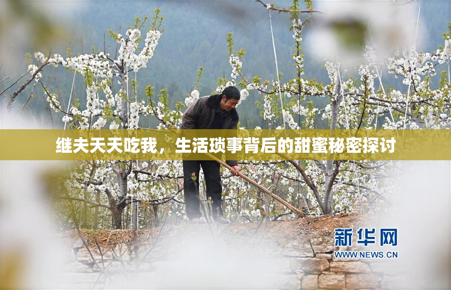 继夫天天吃我，生活琐事背后的甜蜜秘密探讨