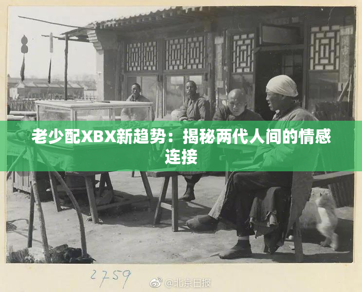 老少配XBX新趋势：揭秘两代人间的情感连接