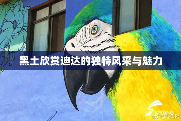 黑土欣赏迪达的独特风采与魅力