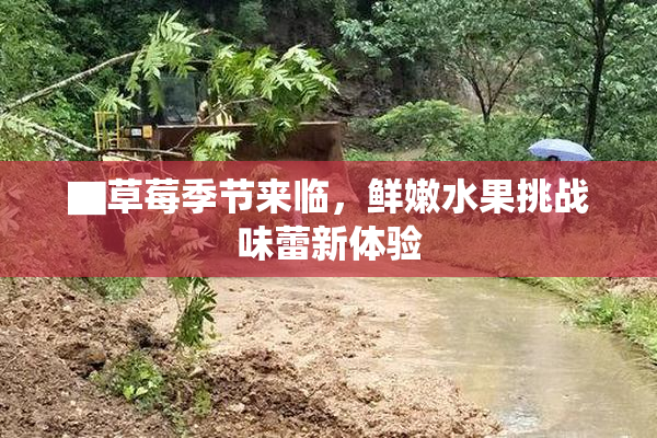 ▇草莓季节来临，鲜嫩水果挑战味蕾新体验