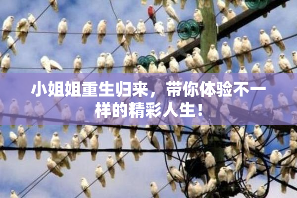 小姐姐重生归来，带你体验不一样的精彩人生！