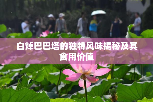 白焯巴巴塔的独特风味揭秘及其食用价值