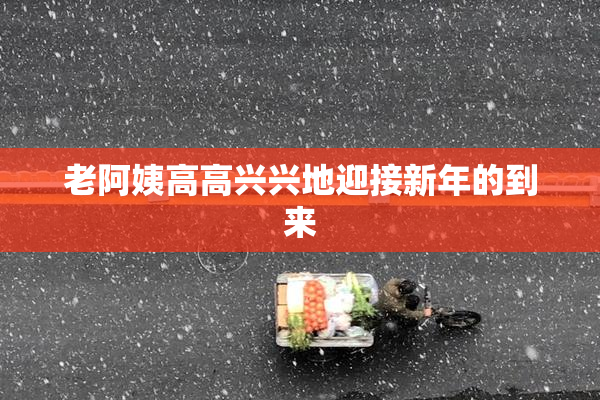 老阿姨高高兴兴地迎接新年的到来