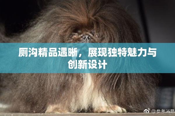 厕沟精品遇晰，展现独特魅力与创新设计