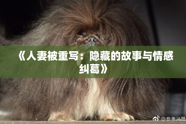 《人妻被重写：隐藏的故事与情感纠葛》