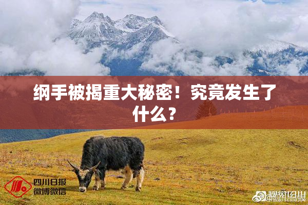 纲手被揭重大秘密！究竟发生了什么？