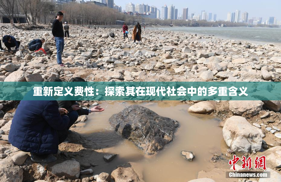 重新定义费性：探索其在现代社会中的多重含义