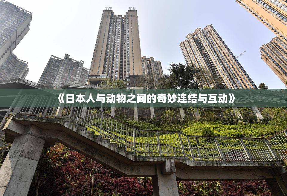 《日本人与动物之间的奇妙连结与互动》