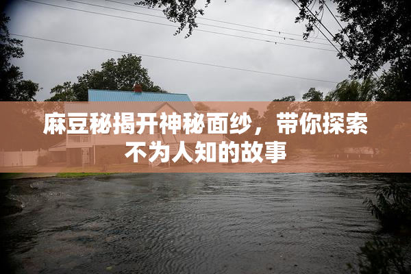 麻豆秘揭开神秘面纱，带你探索不为人知的故事