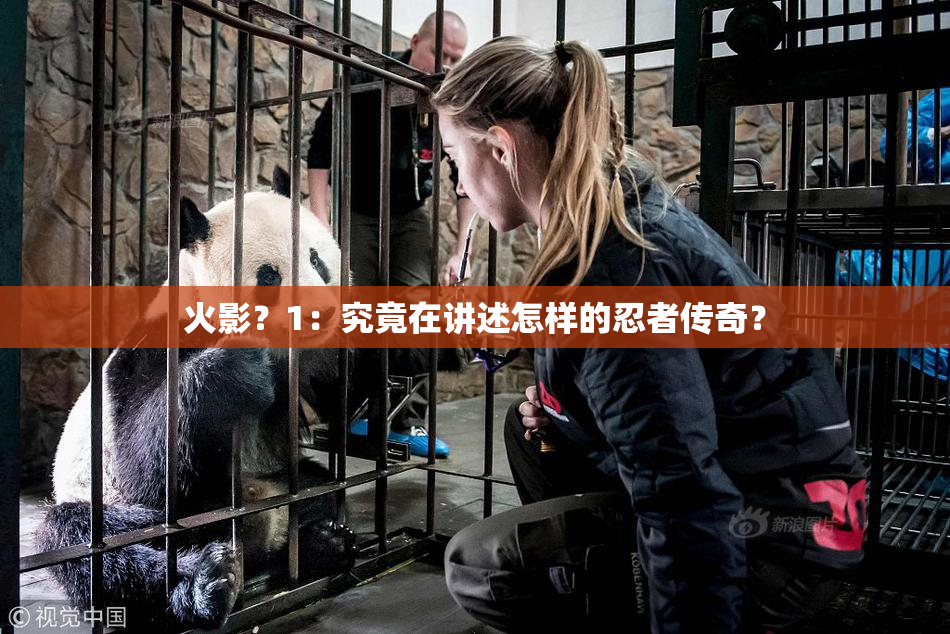 火影？1：究竟在讲述怎样的忍者传奇？
