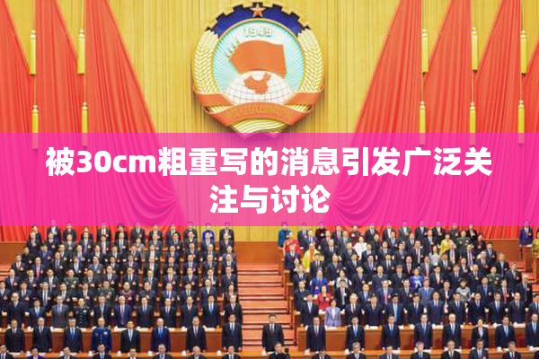 被30cm粗重写的消息引发广泛关注与讨论