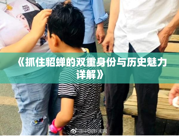 《抓住貂蝉的双重身份与历史魅力详解》