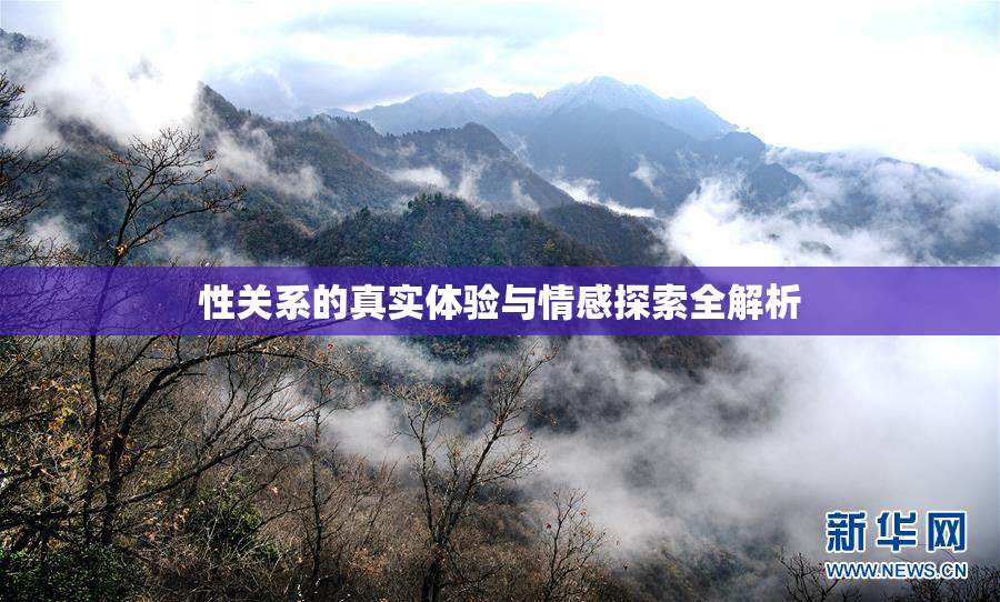 性关系的真实体验与情感探索全解析