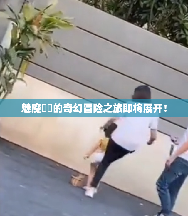 魅魔妺妺的奇幻冒险之旅即将展开！