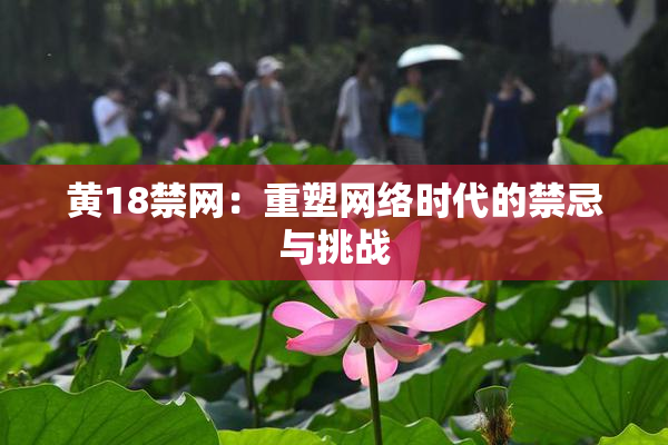 黄18禁网：重塑网络时代的禁忌与挑战