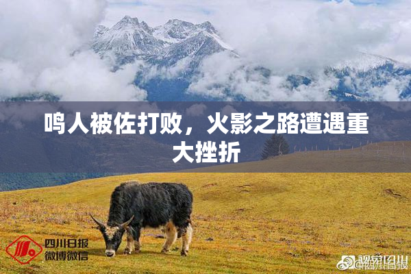 鸣人被佐打败，火影之路遭遇重大挫折