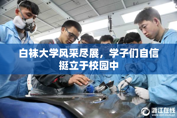 白袜大学风采尽展，学子们自信挺立于校园中