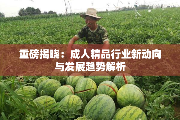 重磅揭晓：成人精品行业新动向与发展趋势解析