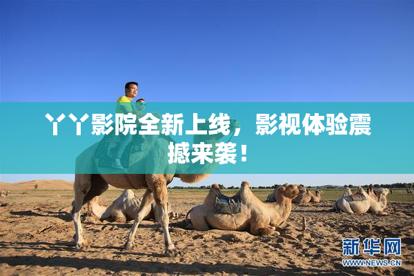 丫丫影院全新上线，影视体验震撼来袭！