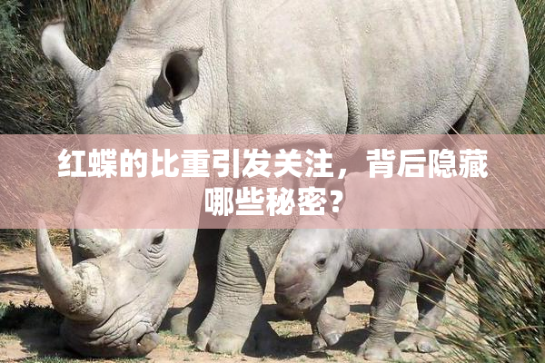 红蝶的比重引发关注，背后隐藏哪些秘密？