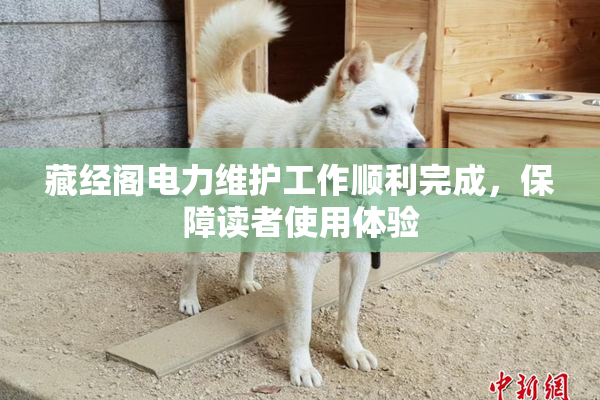 藏经阁电力维护工作顺利完成，保障读者使用体验