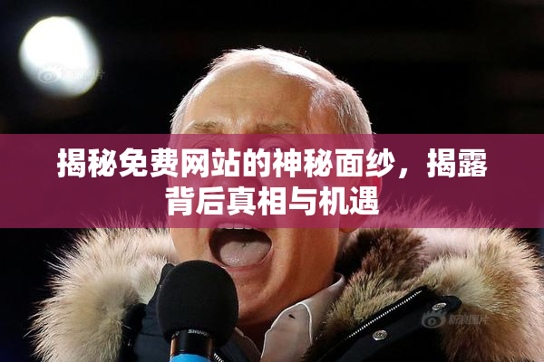 揭秘免费网站的神秘面纱，揭露背后真相与机遇