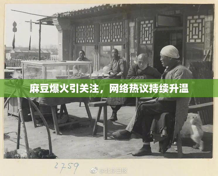 麻豆爆火引关注，网络热议持续升温