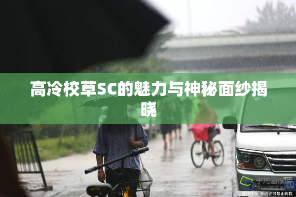 高冷校草SC的魅力与神秘面纱揭晓