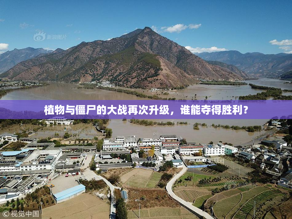 植物与僵尸的大战再次升级，谁能夺得胜利？