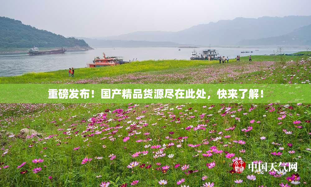 重磅发布！国产精品货源尽在此处，快来了解！