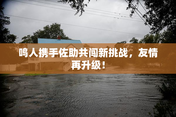鸣人携手佐助共闯新挑战，友情再升级！