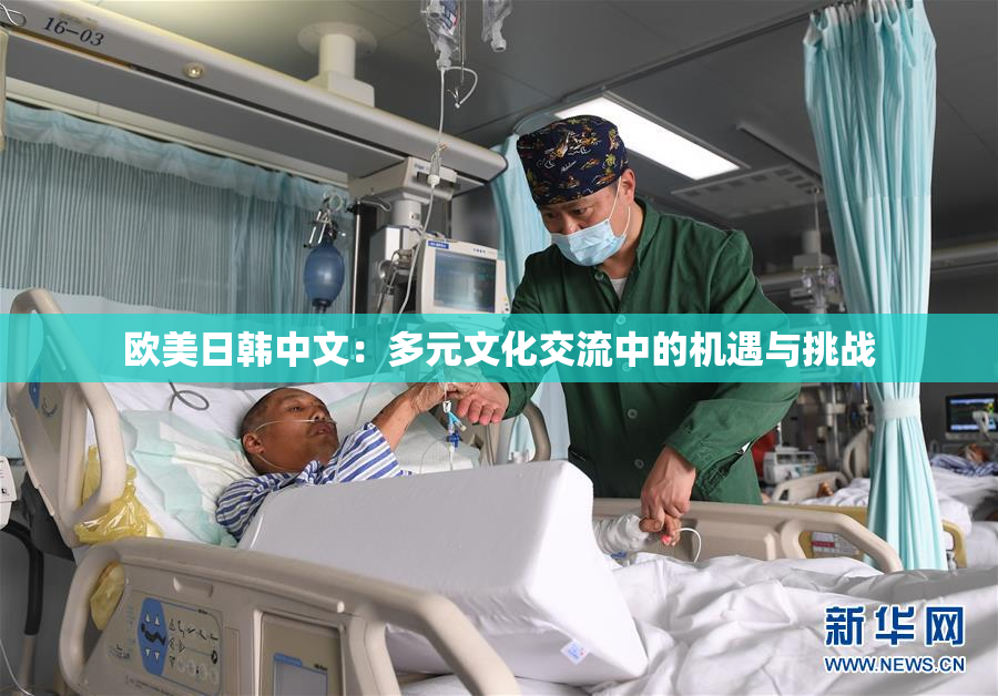 欧美日韩中文：多元文化交流中的机遇与挑战