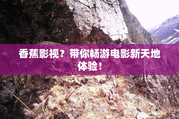香蕉影视？带你畅游电影新天地体验！