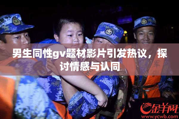 男生同性gv题材影片引发热议，探讨情感与认同