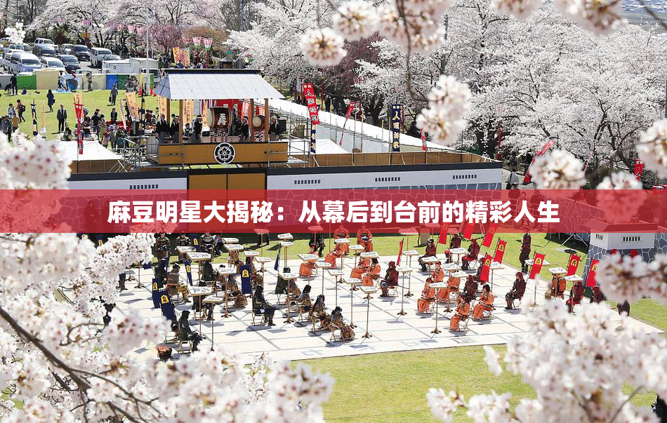 麻豆明星大揭秘：从幕后到台前的精彩人生