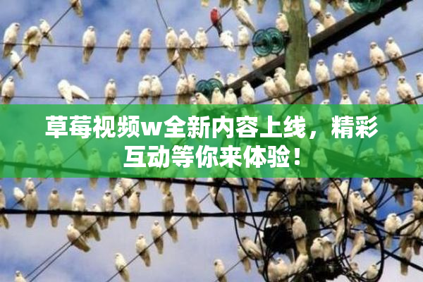 草莓视频w全新内容上线，精彩互动等你来体验！