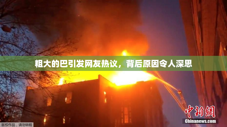 粗大的巴引发网友热议，背后原因令人深思