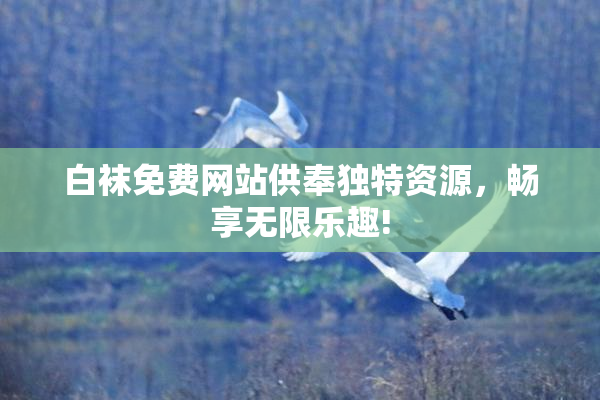 白袜免费网站供奉独特资源，畅享无限乐趣!