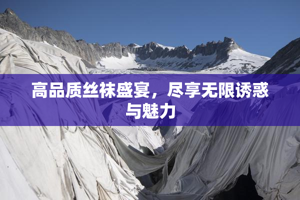 高品质丝袜盛宴，尽享无限诱惑与魅力