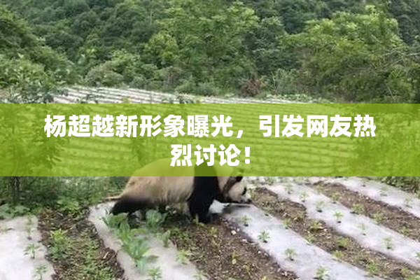 杨超越新形象曝光，引发网友热烈讨论！
