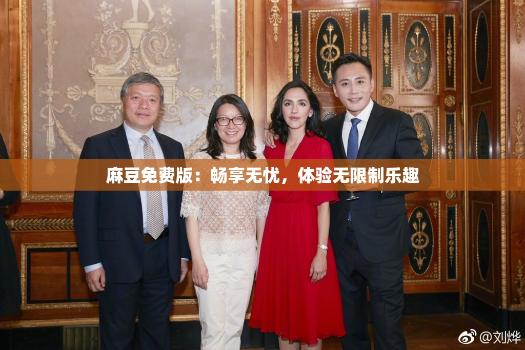 麻豆免费版：畅享无忧，体验无限制乐趣